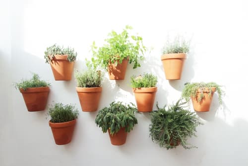 Lavradores Boutique Guesthouse, Exterior