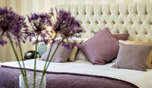 The Wyatt Hotel, Room