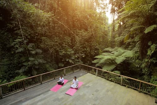Alam Ubud Culture Villas & Residences, Yoga