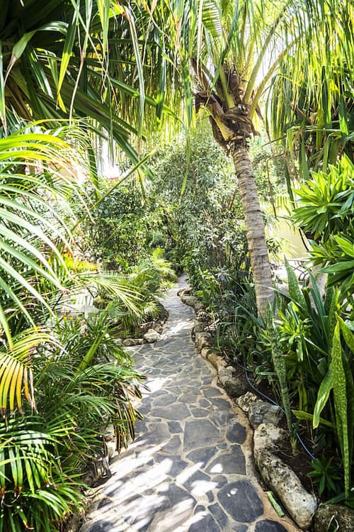 Pietermaai Boutique Hotel, Property grounds