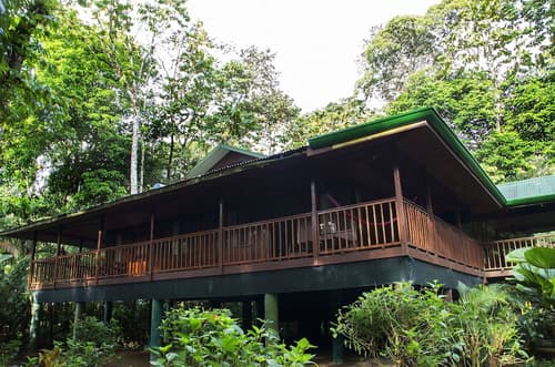 Selva Verde Lodge, Property grounds