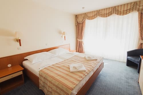 Family Hotel Pagus, Room