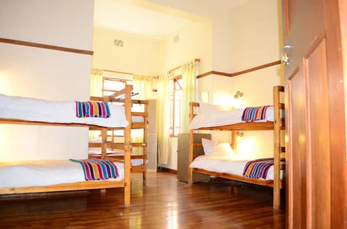 A Sunflower Stop - Hostel, Room