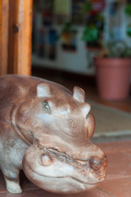 A Sunflower Stop - Hostel, Interior detail