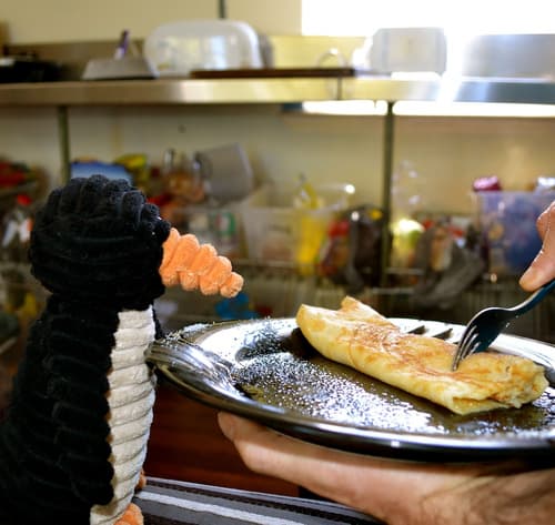 1849 Backpackers Hotel