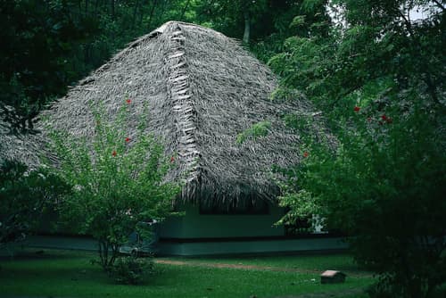 Marari Beach - Cgh Earth, Room