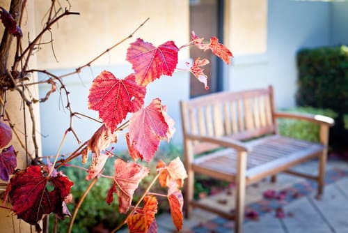 The Beach House at Bayside, Terrace/patio