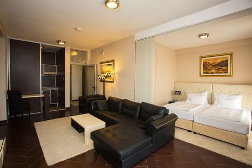 Hotel Alexandar Lux, Room