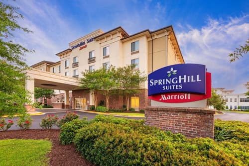 SpringHill Suites by Marriott Lafayette South at River Ranch, Primary image
