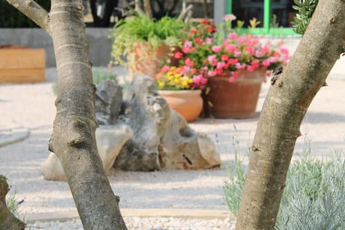 Villa Mandolina Apartments, View from room