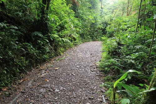 Monteverde Lodge by Böëna, Hiking