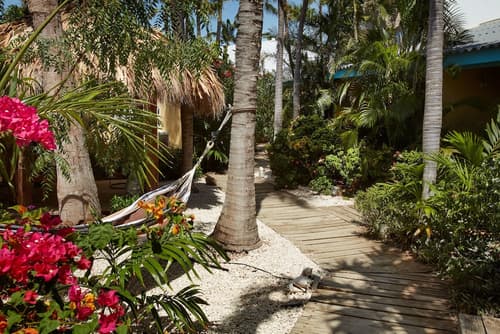 Paradera Park Aruba, Terrace/patio