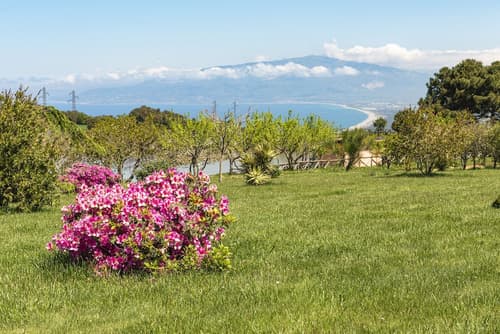 Popilia Country Resort, Primary image