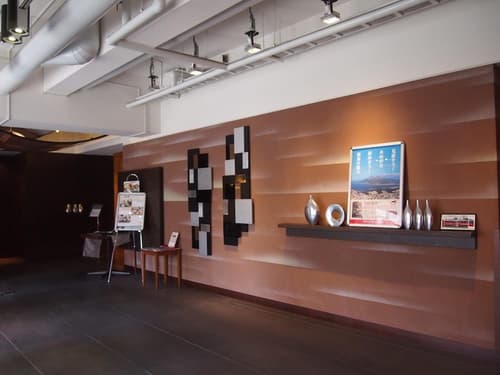 Hotel Sunflex Kagoshima, Lobby