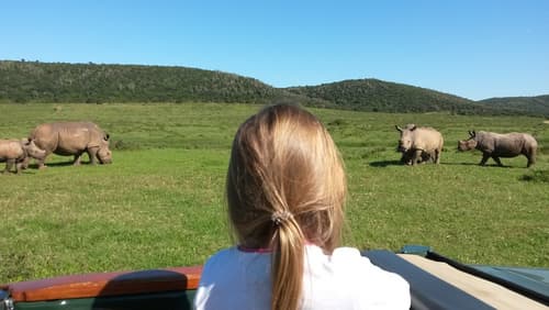 Kariega Game Reserve - Main Lodge, Children's activities