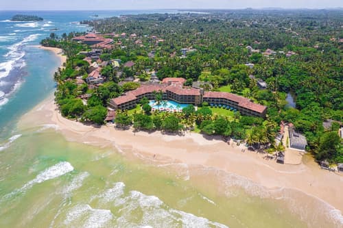 The Palms, Primary image