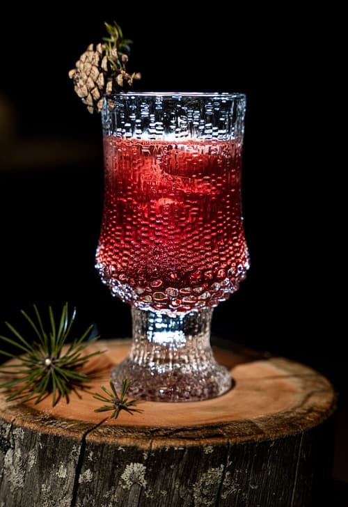 Wilderness Hotel Juutua