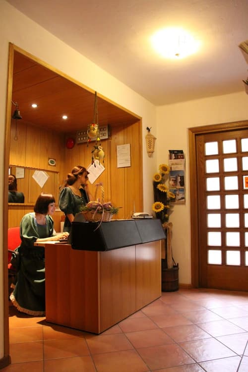 Garni BiancaNeve, Reception