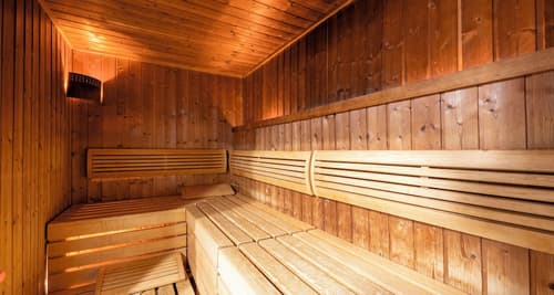 PLAZA INN Amedia Wien, Sauna