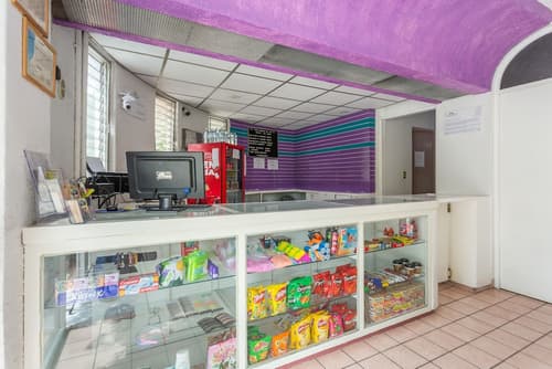 OYO Hotel Palma Real