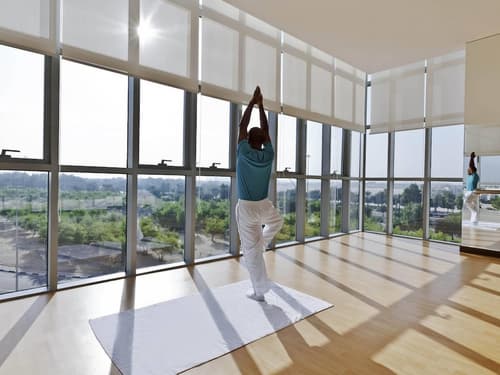 Novotel Abu Dhabi Gate