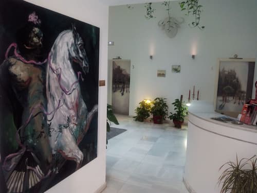 Hotel Palacio Alcazar, Reception