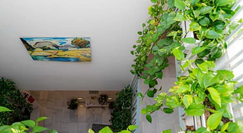 Hotel Palacio Alcazar, Terrace/patio