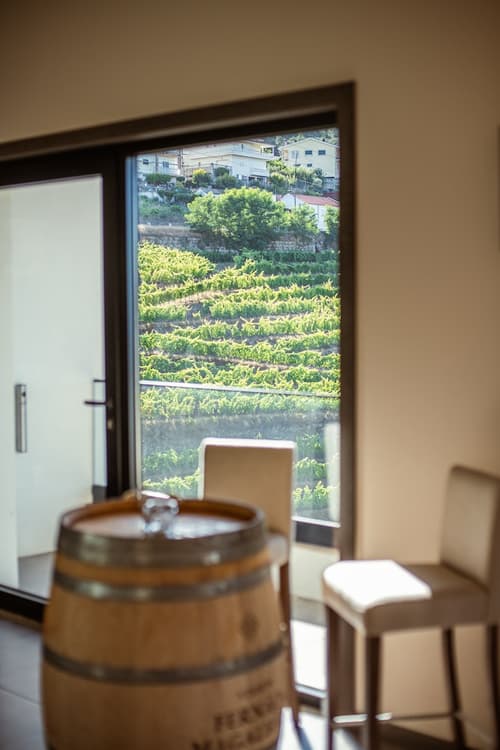 MW Douro Wine & Spa