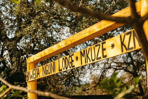 Biweda Nguni B&B, Garden view