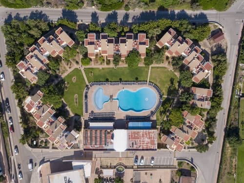 Comitas Isla del Aire