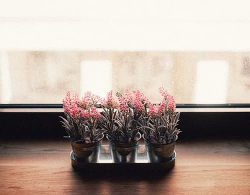 36 Phô Cô Hotel & Suites, Room