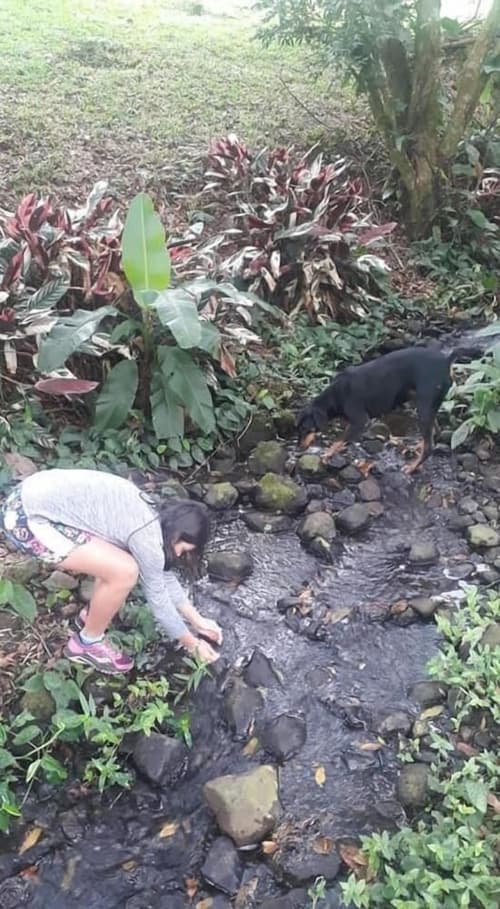 Hotel Pacuare Turrialba, Property grounds