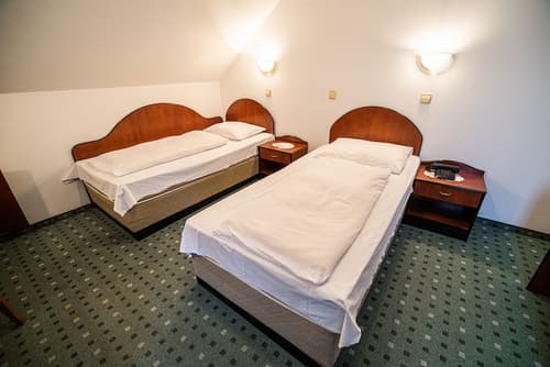 Guesthouse Leški Dvor, Room