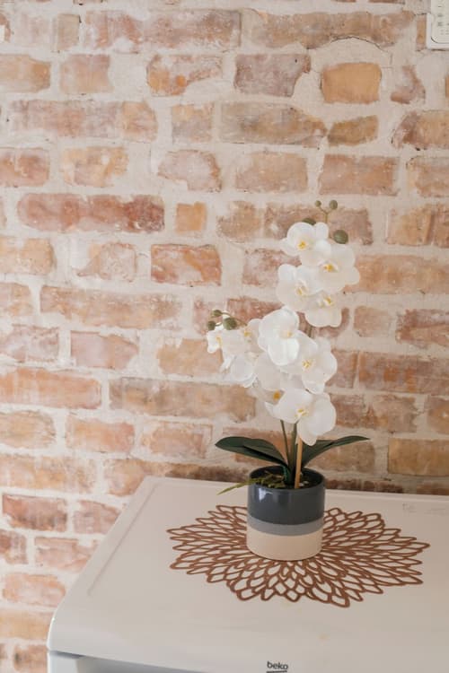 Step to Kotor Bay Guesthouse