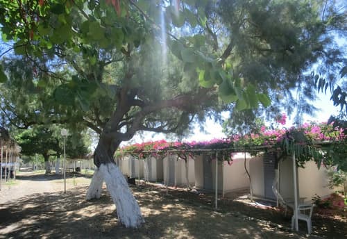 Santorini Camping & Hostel