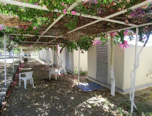 Santorini Camping & Hostel