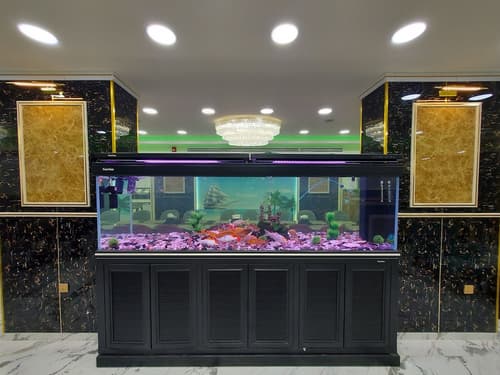 Jordan Seasons Hotel, Lobby