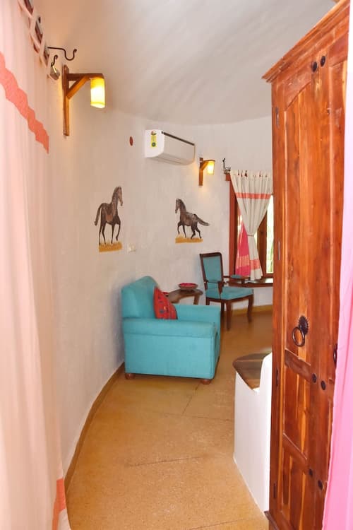 The Earth At Ranthambore, Room