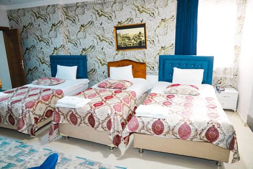 Kars Atapark Boutique Hotel, Room