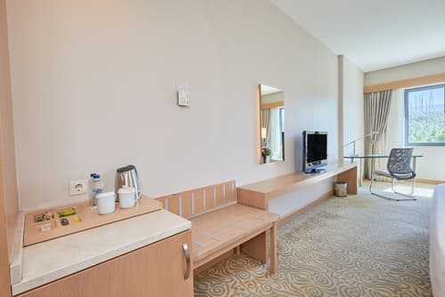 Park Dedeman Denizli, Room