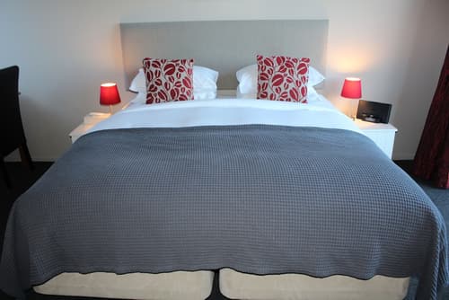 Chalet Queenstown, Room