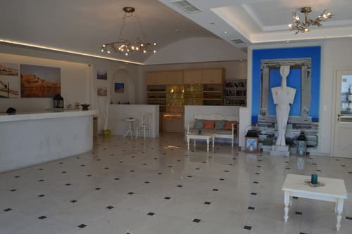Naxos Island Hotel, Reception