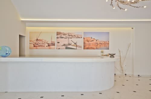Naxos Island Hotel, Reception