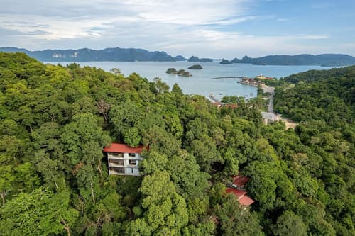Ambong Rainforest Retreat, Primary image