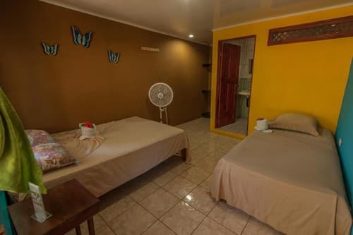 Hotel El Icaco Tortuguero