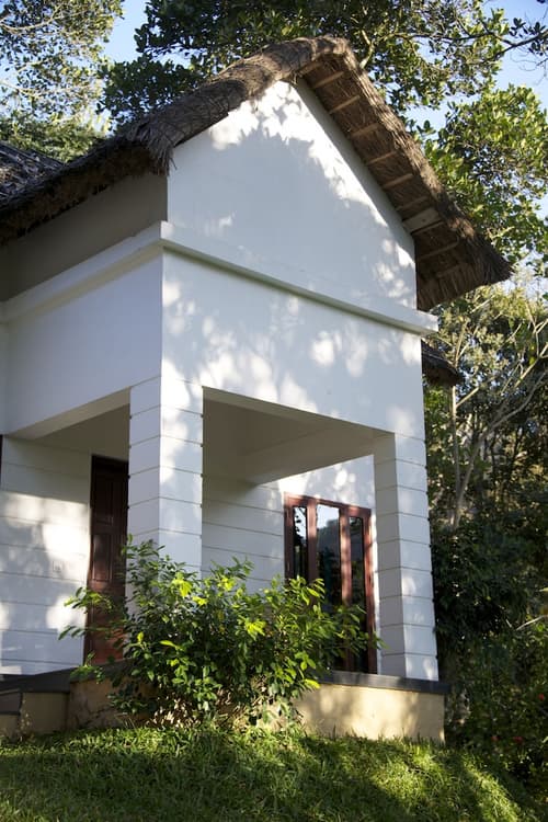 Niraamaya Cardamom Club, View from property