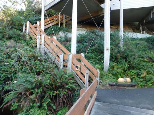 Little Creek Cove Beachfront Resort