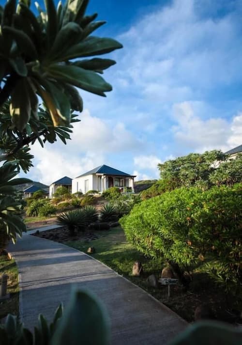 Constance Tekoma. Rodrigues