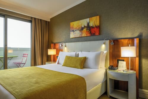 Ramada by Wyndham Istanbul Grand Bazaar, Room