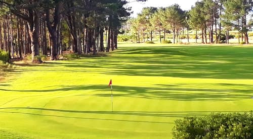 Whale Coast All Suite Hotel, Golf